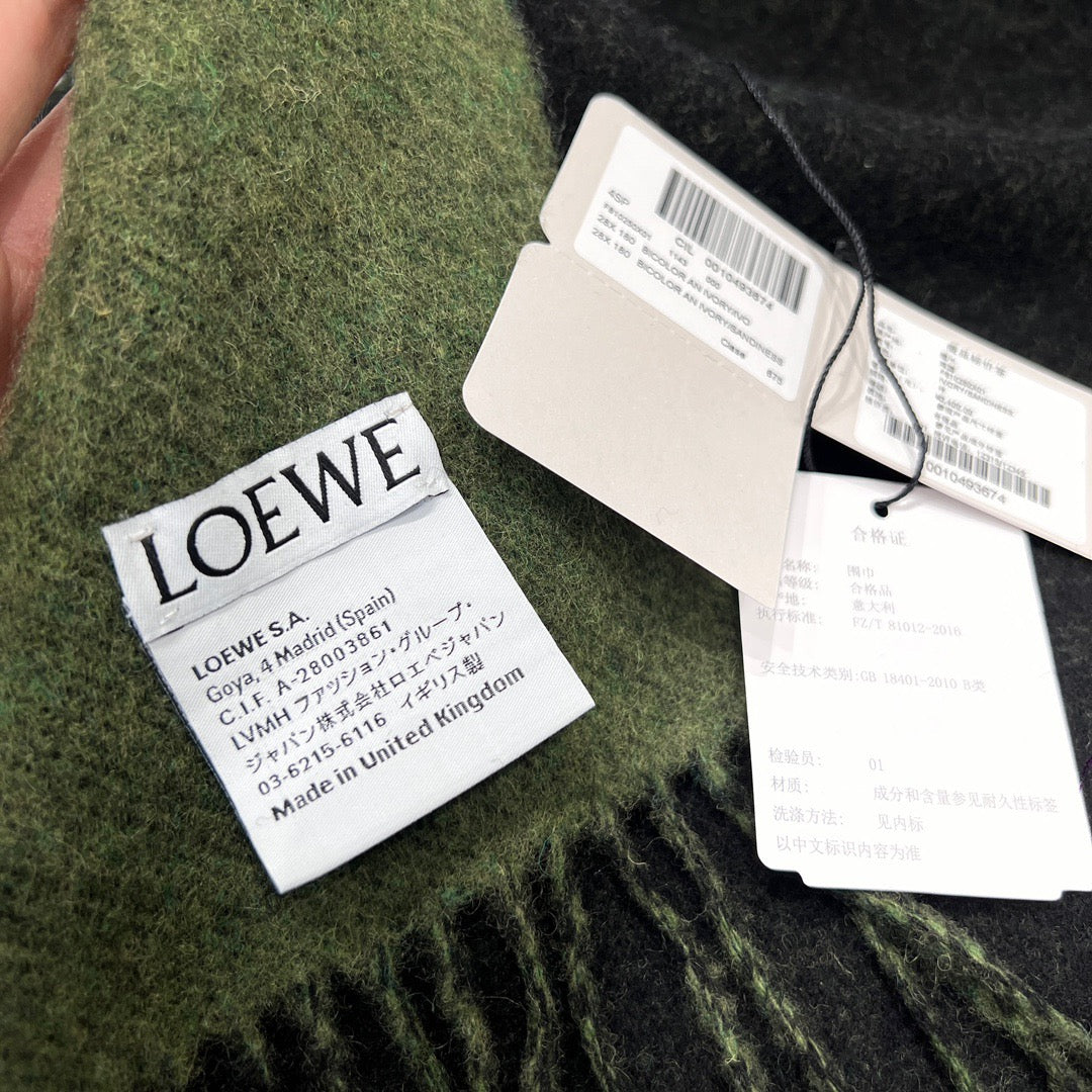 LOEWE SHALL