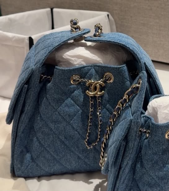Small hobo bag new color