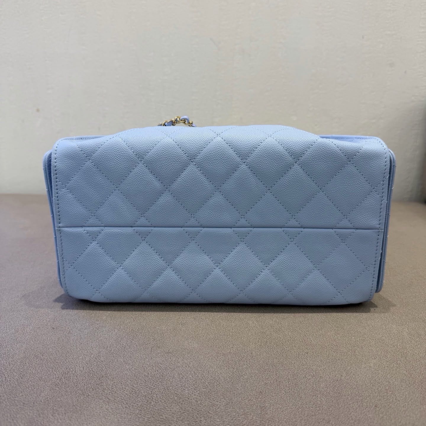 Small hobo bag new color