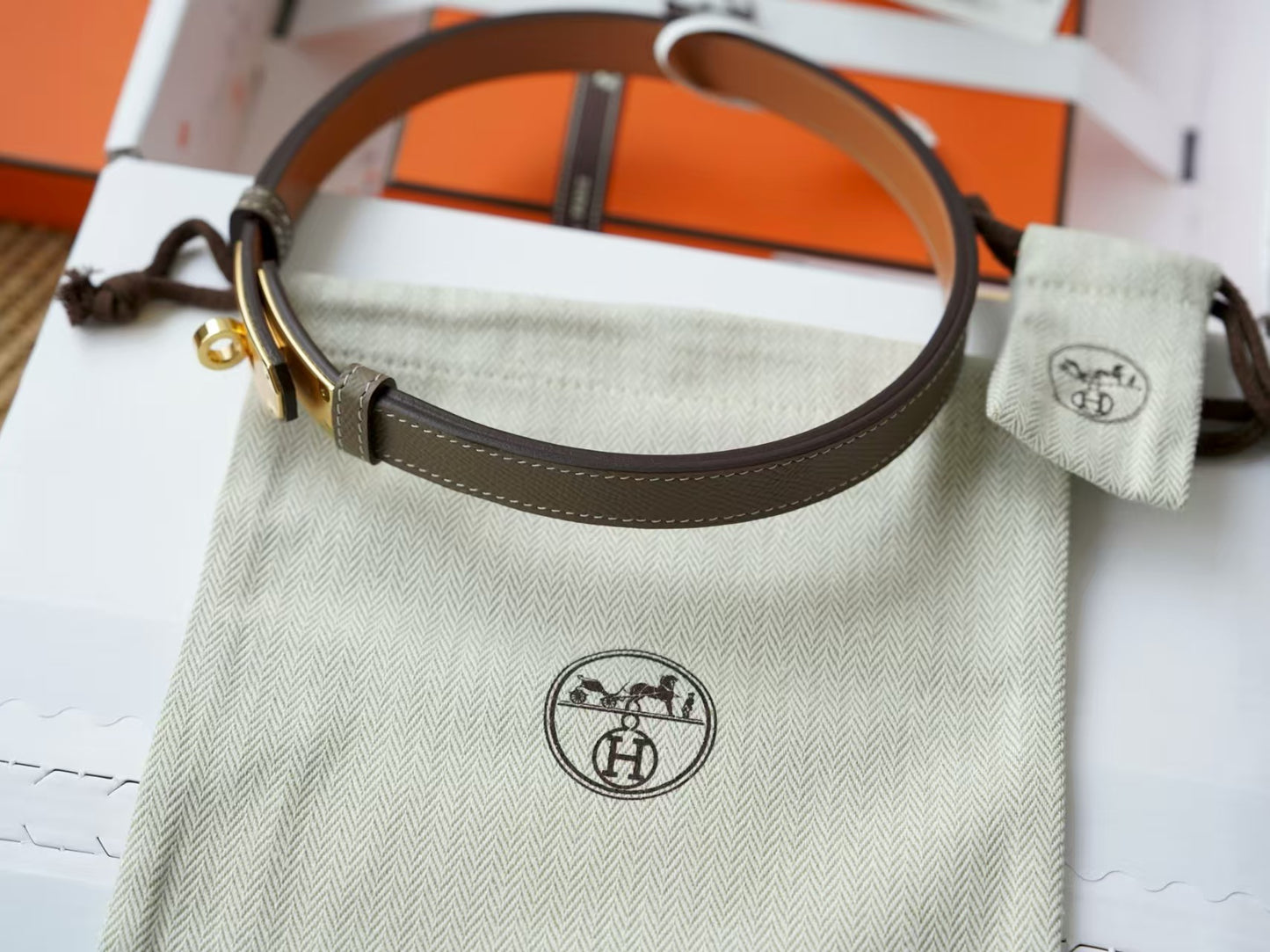 KELLY 18 BELT