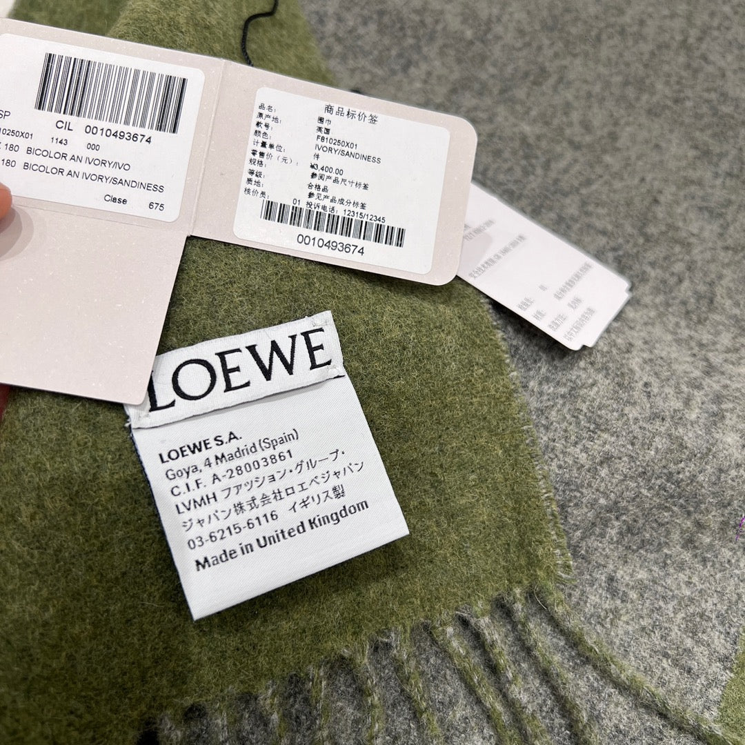 LOEWE SHALL