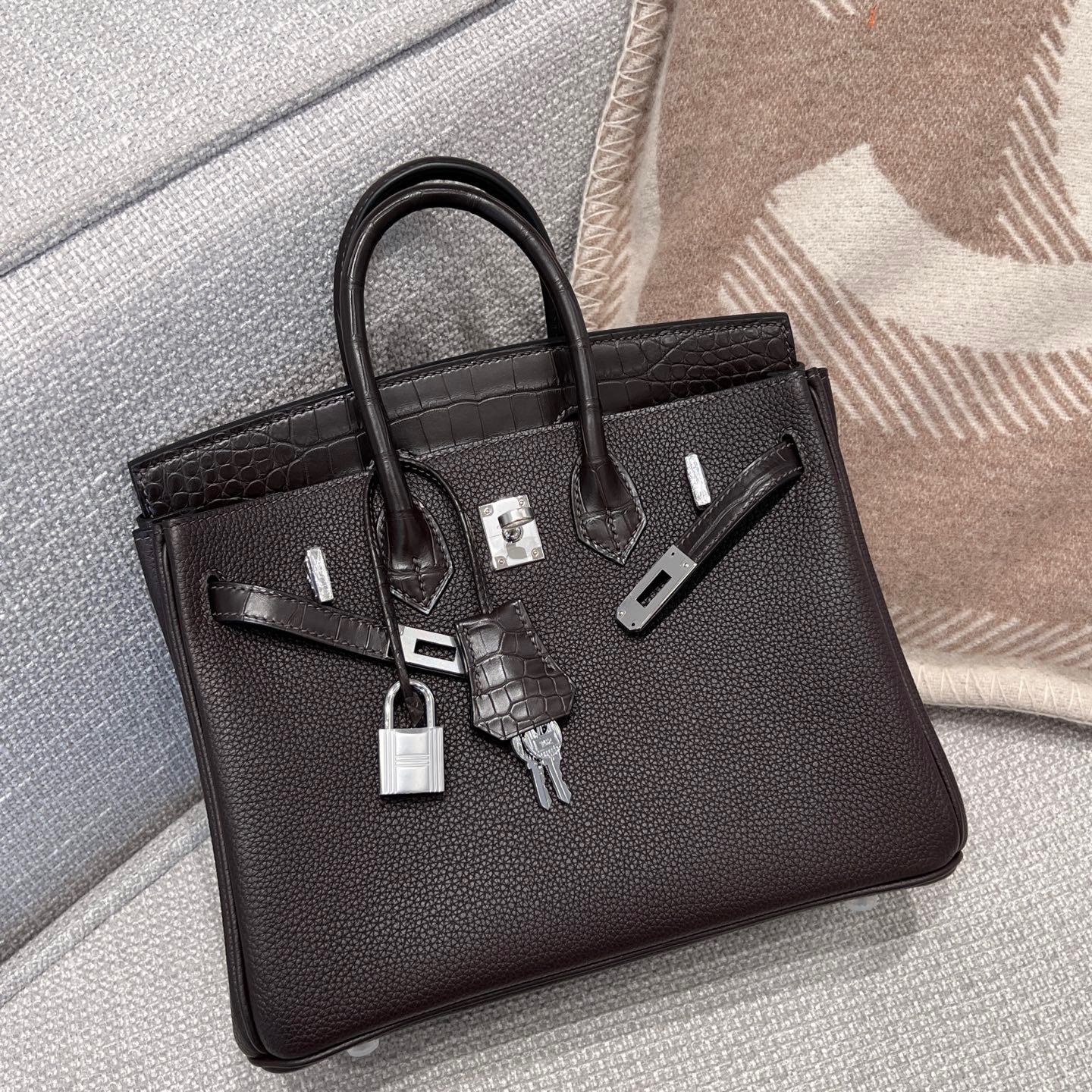 BK25 Touch Ebene France HCP Alligator Crocodile