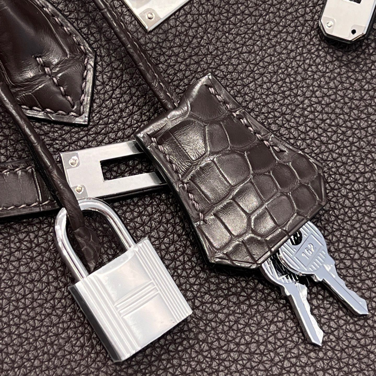 BK25 Touch Ebene France HCP Alligator Crocodile
