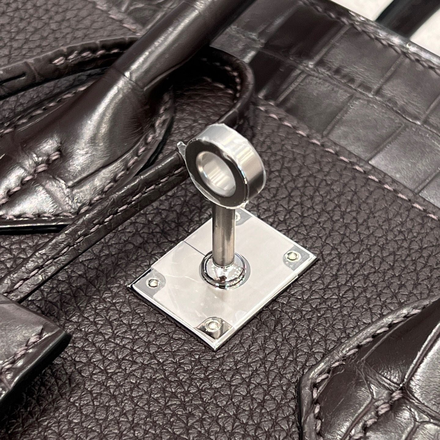 BK25 Touch Ebene France HCP Alligator Crocodile