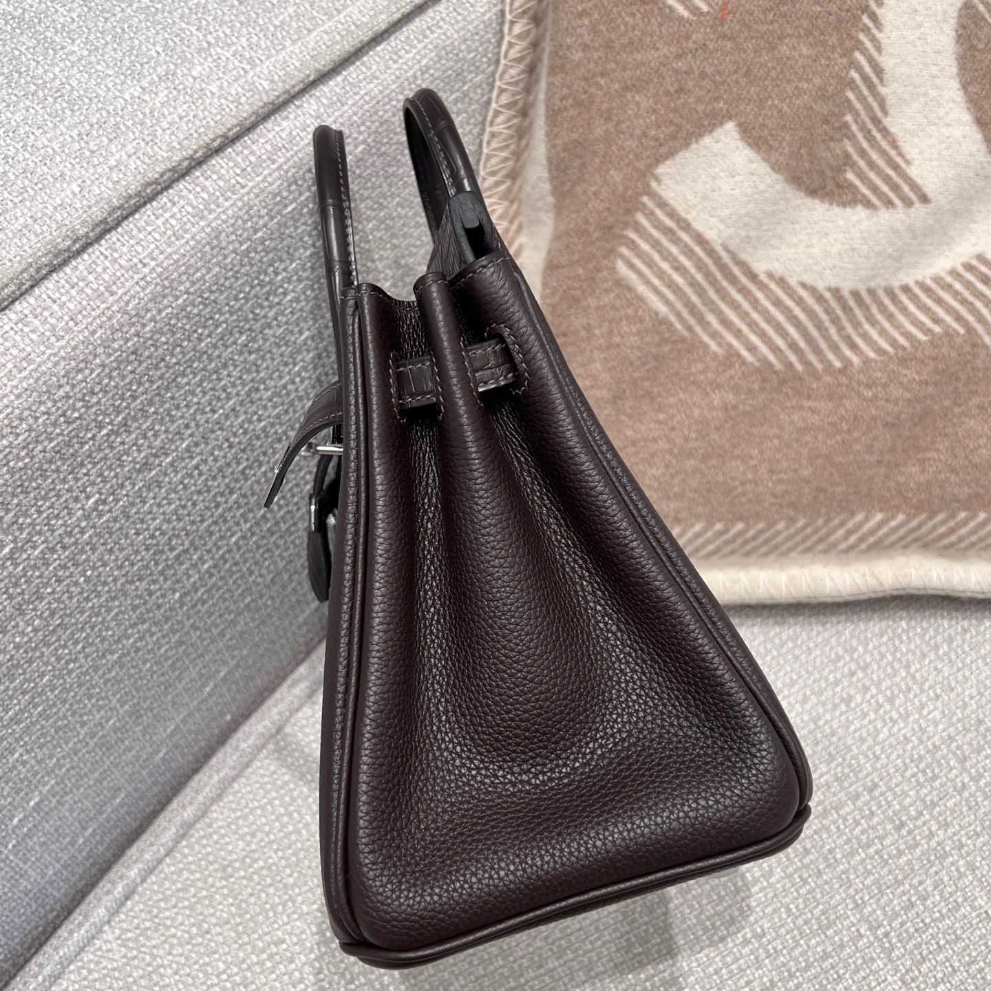 BK25 Touch Ebene France HCP Alligator Crocodile