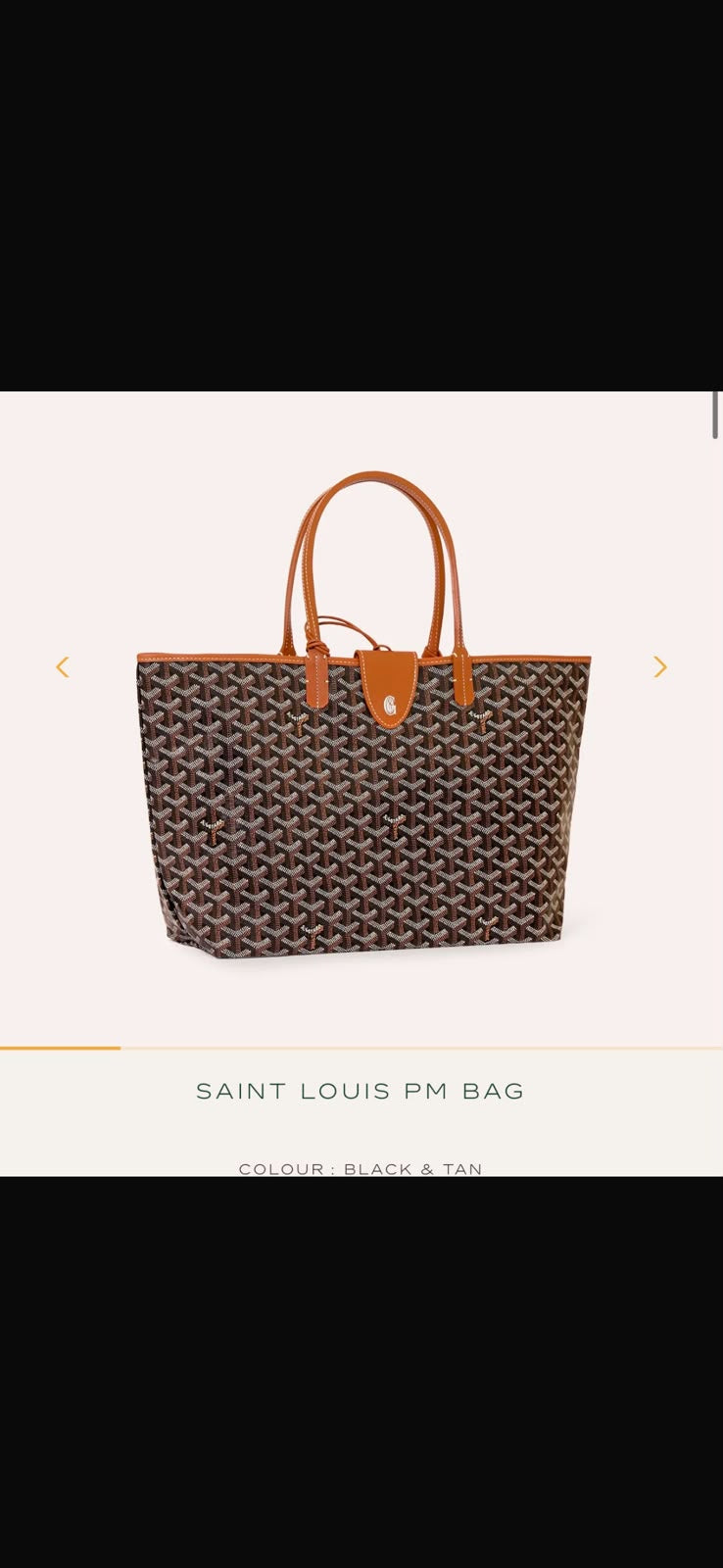 Tote bag pm size