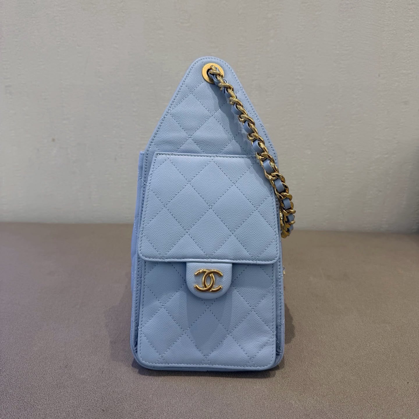Small hobo bag new color