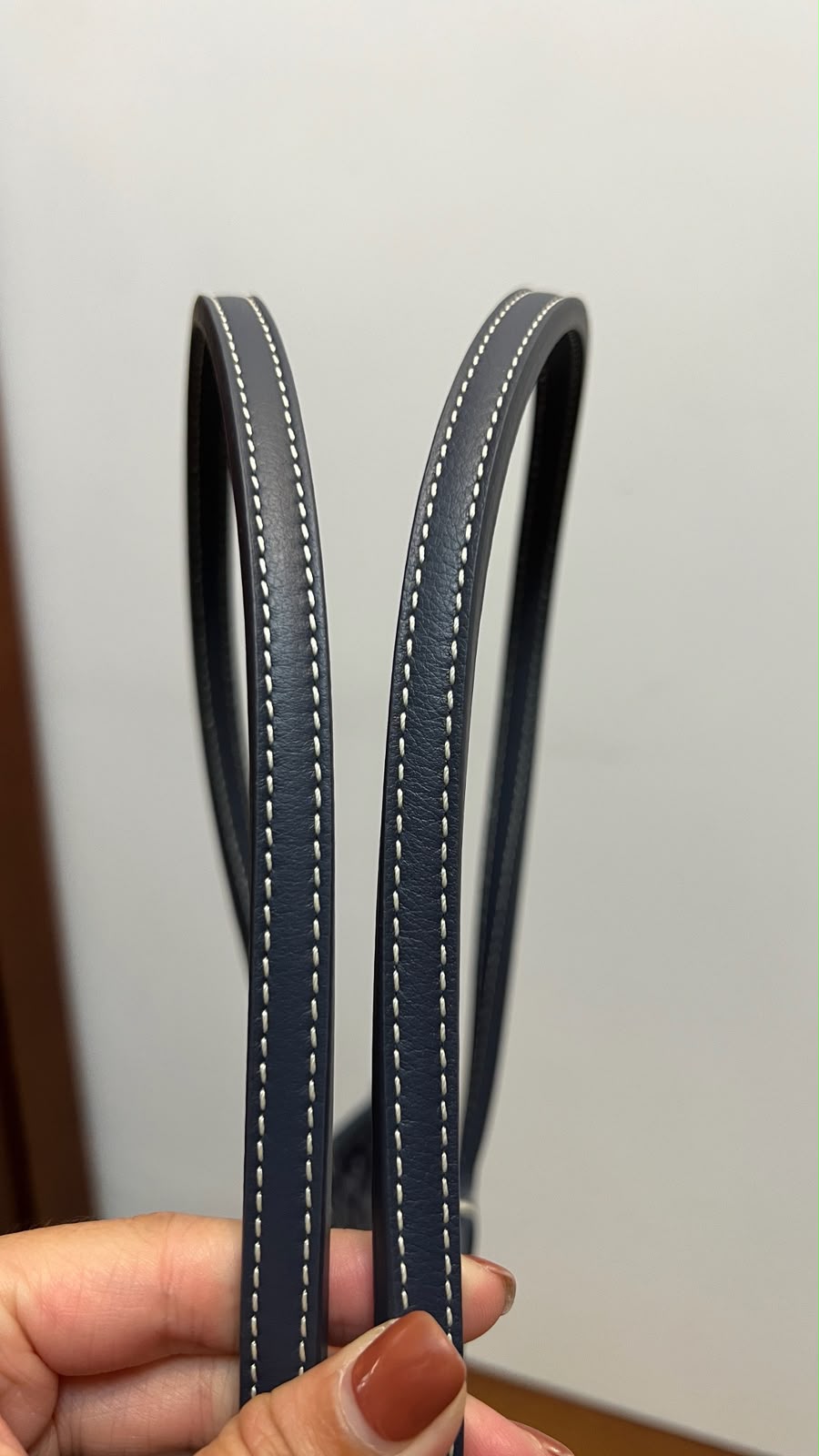 Goyad ratios bag